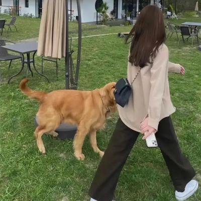 弗莉卡