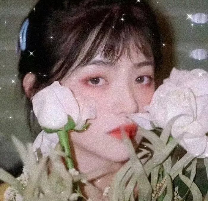 暴龙真相