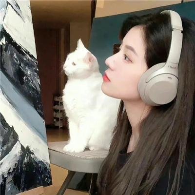 老虎出更2